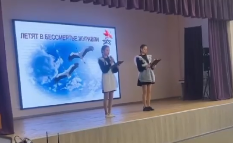 Летят в бессмертье журавли...